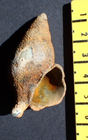 &copy; Thijs de Boer